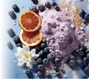 ProvaDent - Ingredients-2