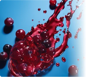 ProvaDent - Ingredients-1